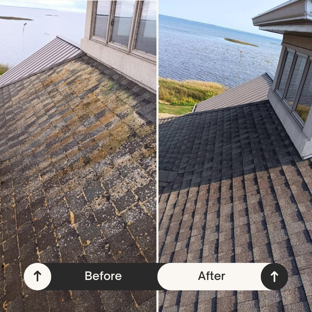 Before and after image of roof cleaned with soft wash system by Leduc Construction showing dramatic removal of algae and grime.